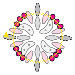 Crescent Urchin Pendant Beading Tutorial