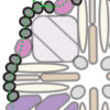 Daphne SuperDuo Beaded Earrings Pattern