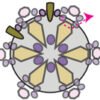 Aurellia Pendant Beading Pattern